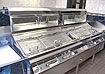 Fish Frying Range