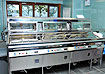 Fish Frying Range